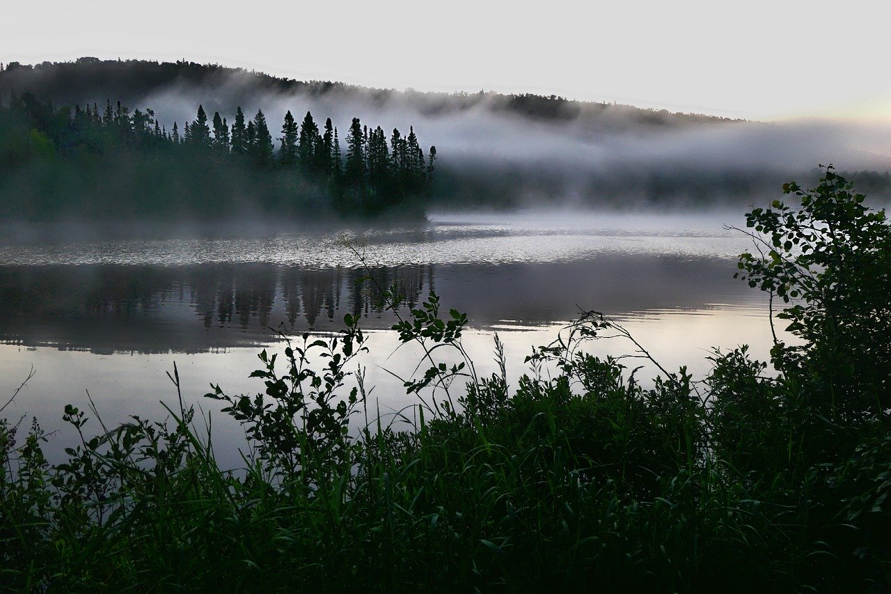 landscape, nature, mist