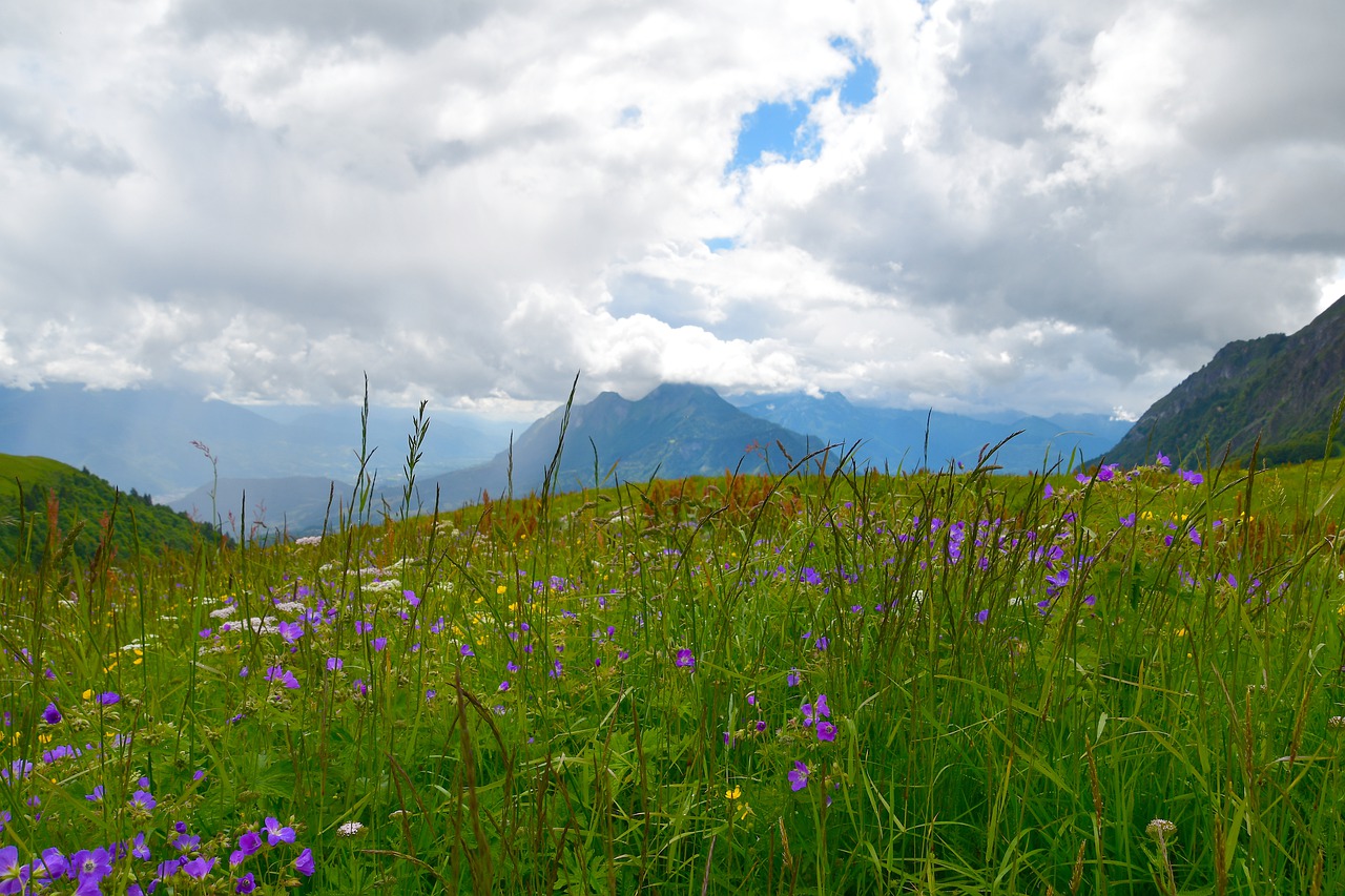 mountain landscape, landscape, panorama