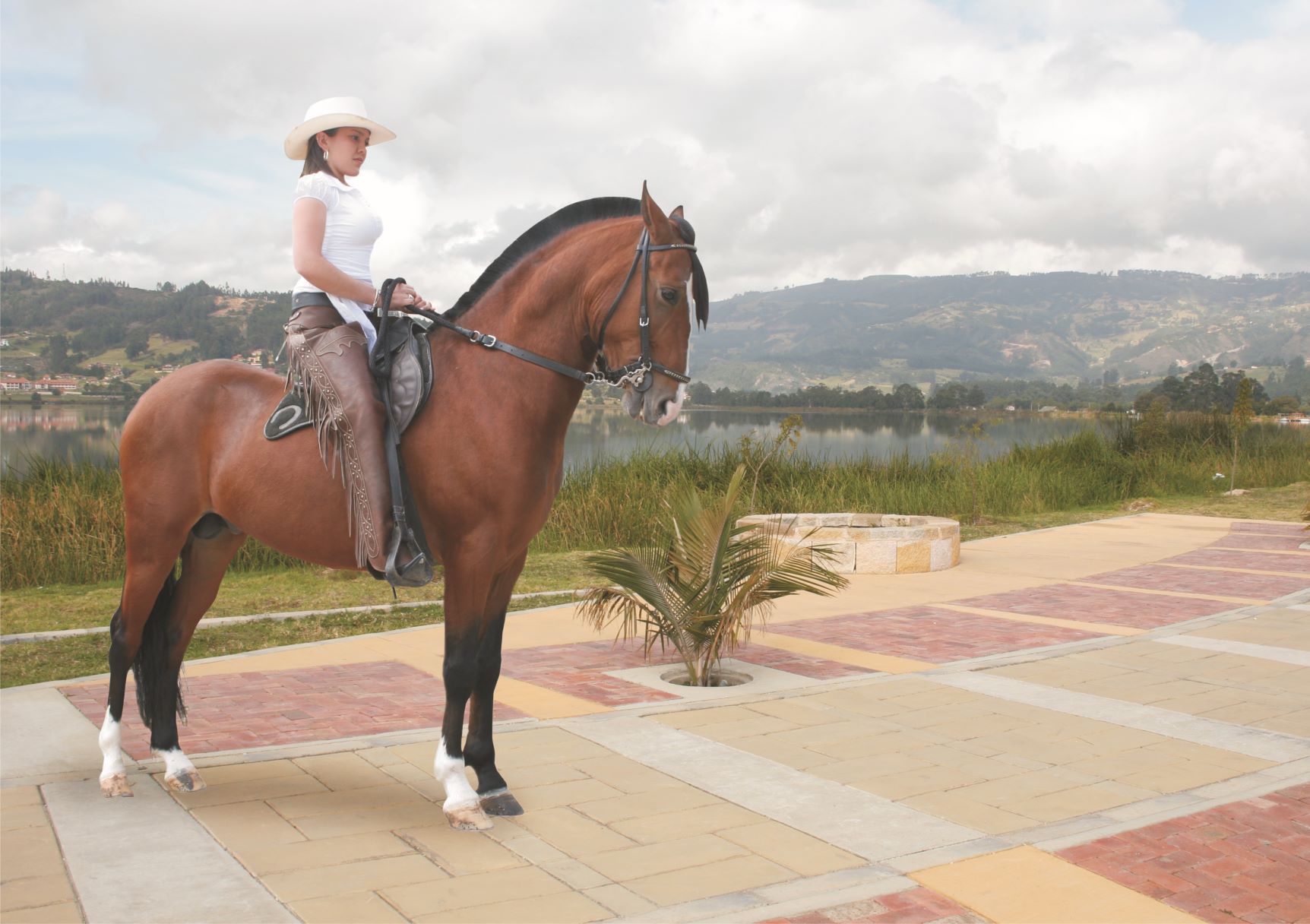 Feria Equina