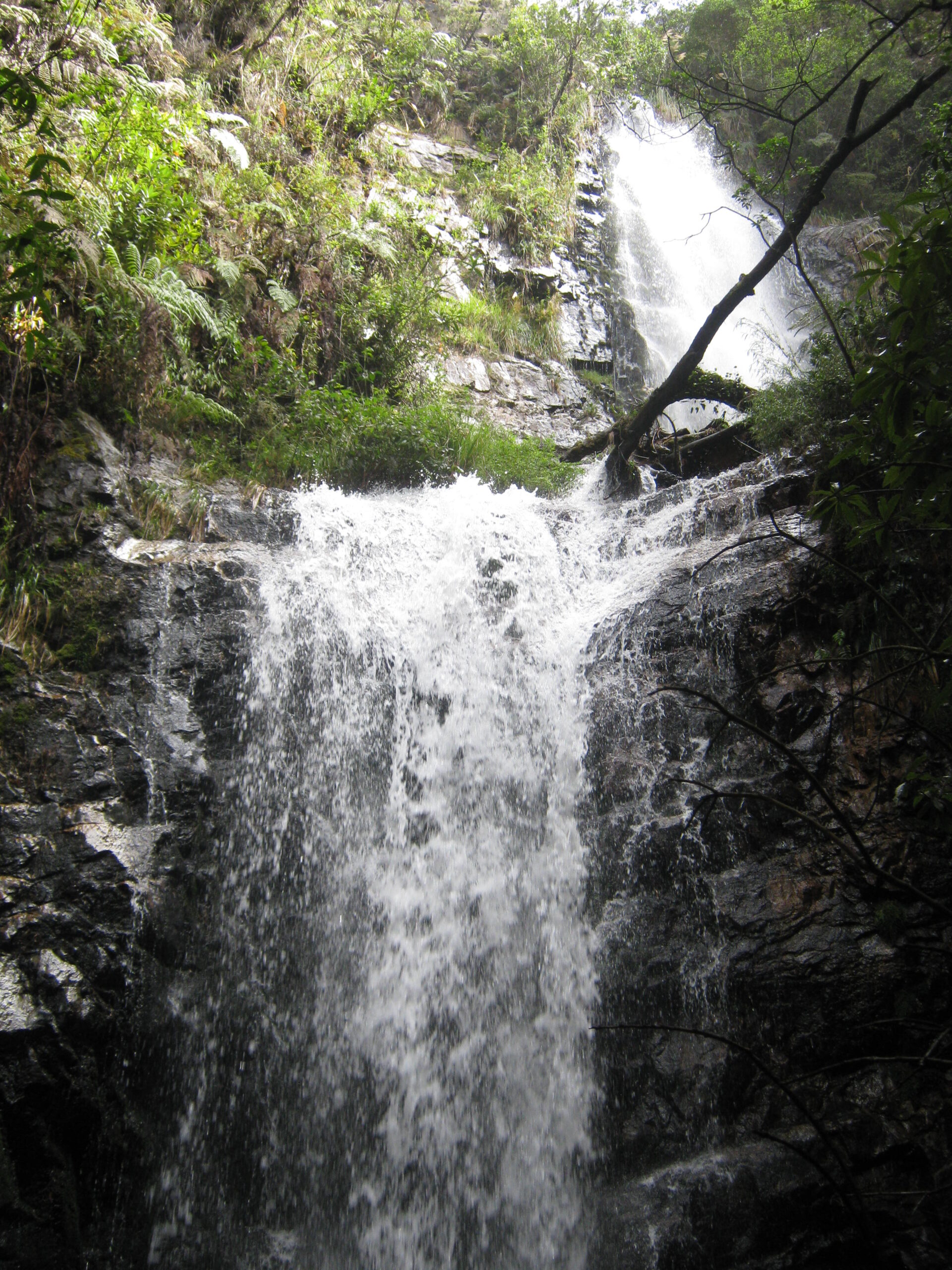 Paramo de La Rancheria